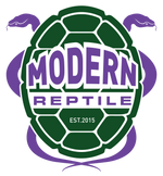 Modern Reptile