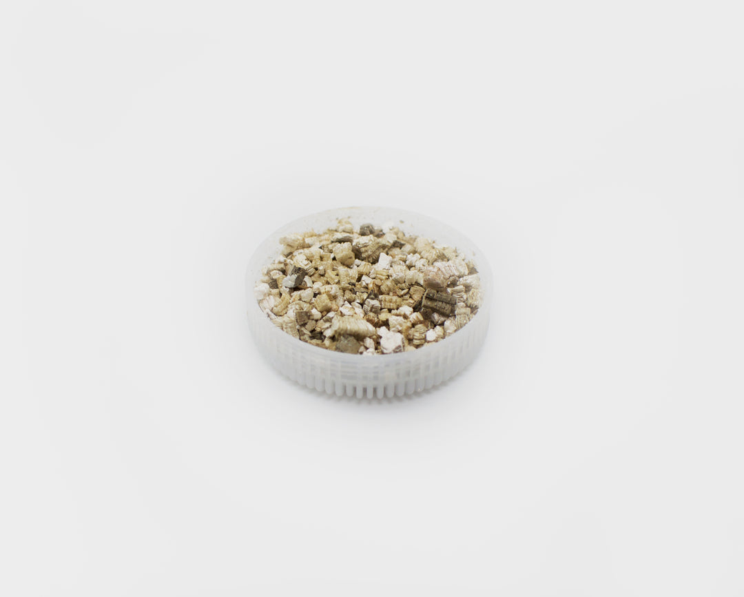 Vermiculite Substrate and Incubation Media