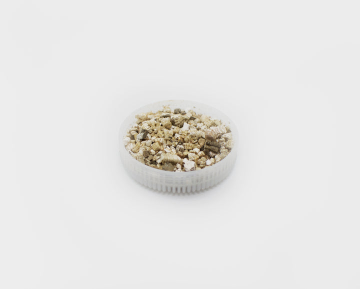 Vermiculite Substrate and Incubation Media