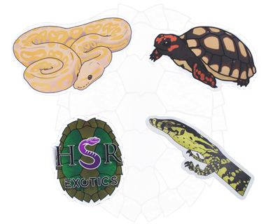 Limited Edition Reptile Magnets
