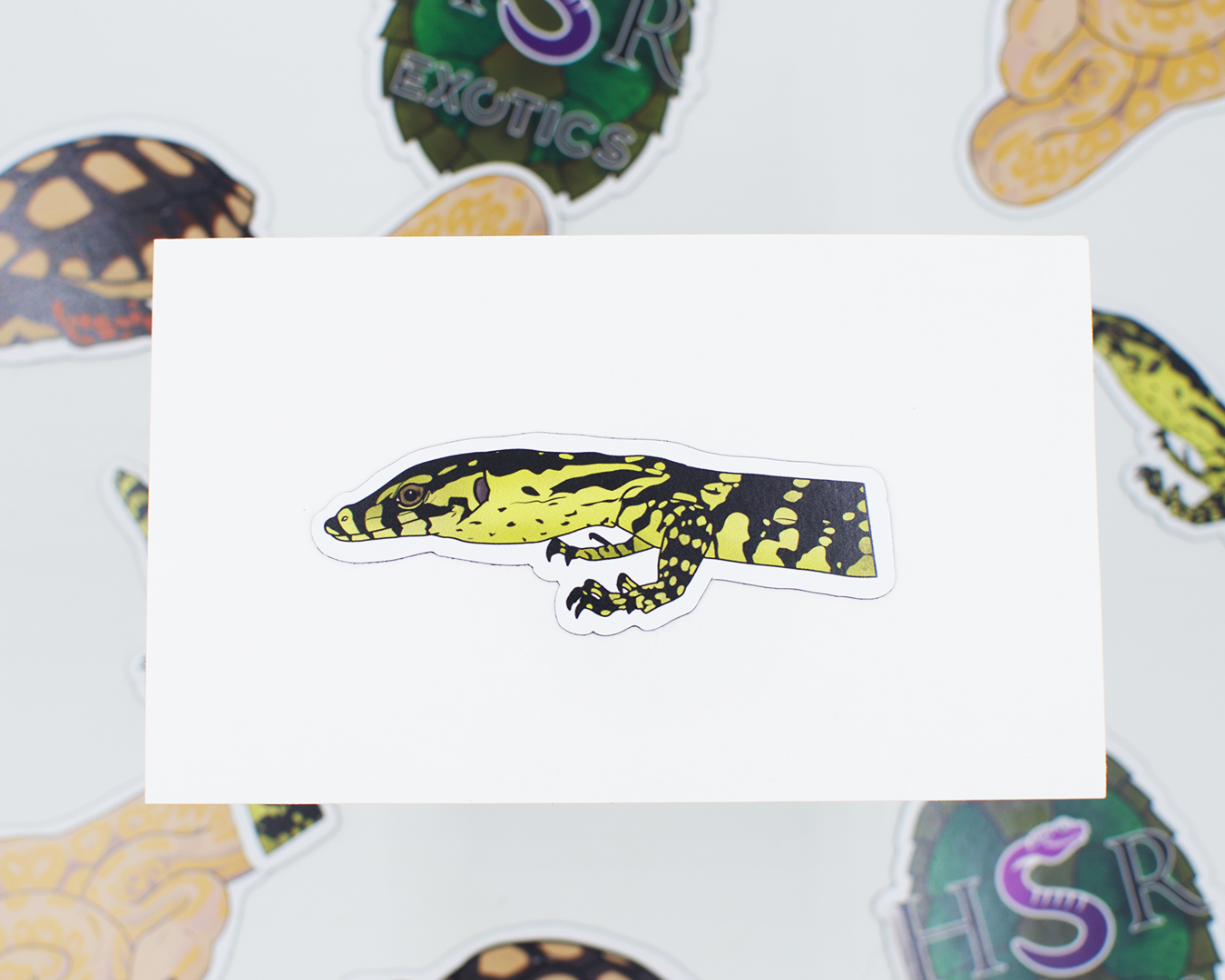 Limited Edition Reptile Magnets