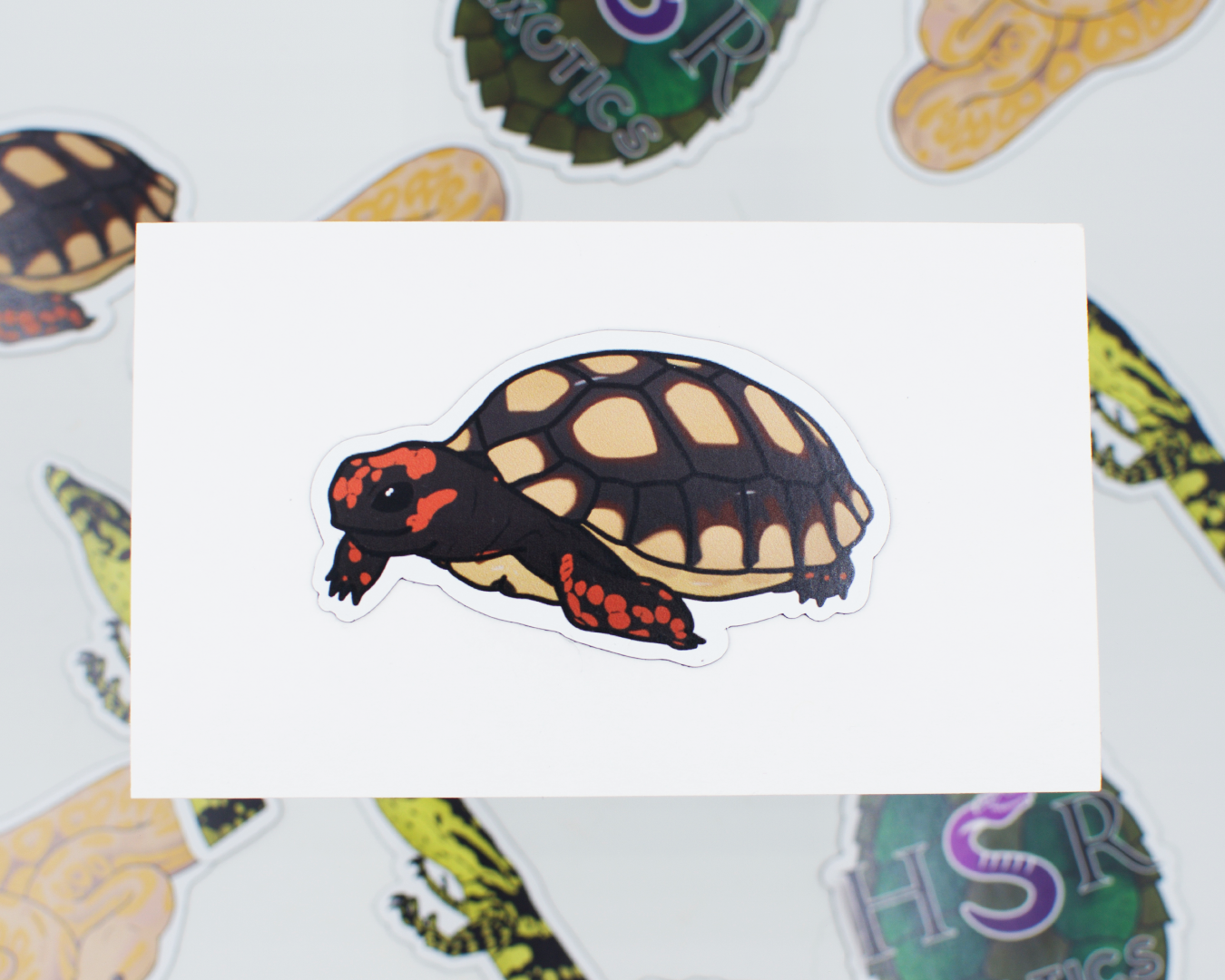 Limited Edition Reptile Magnets