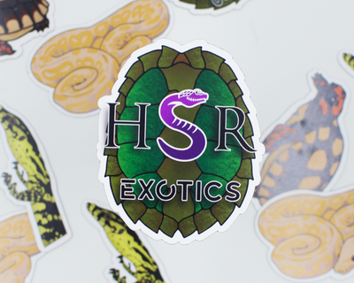 Limited Edition Reptile Magnets