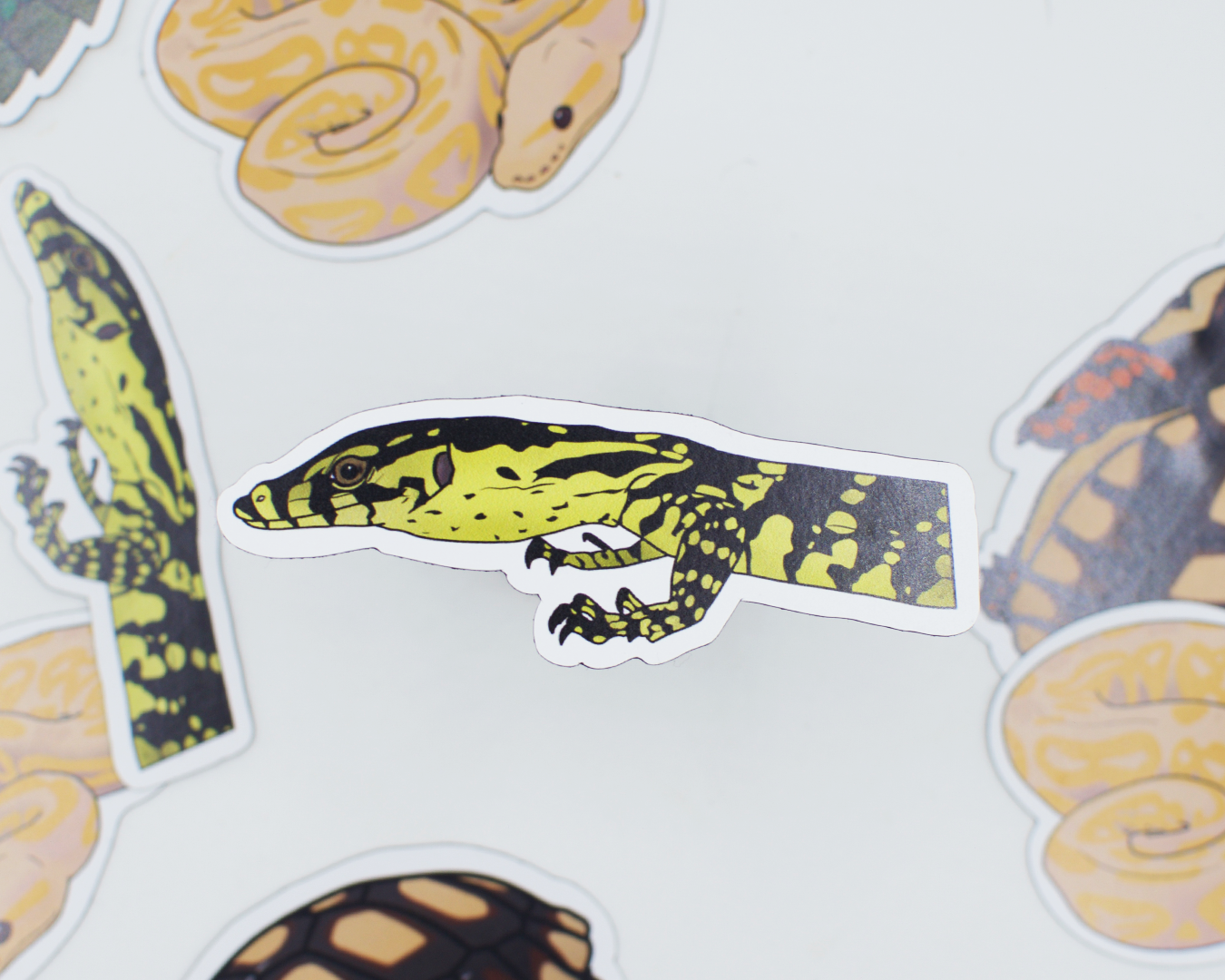 Limited Edition Reptile Magnets