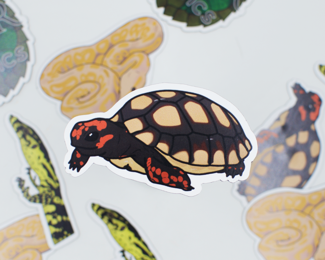 Limited Edition Reptile Magnets