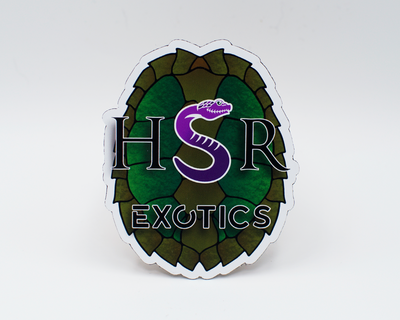 Limited Edition Reptile Magnets
